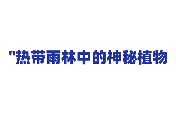 "热带雨林中的神秘植物——龙血树"